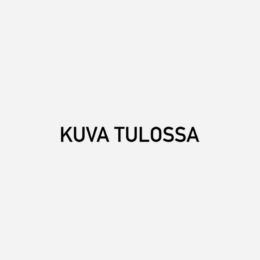 Kaisla Päivi - Palkanlaskija
